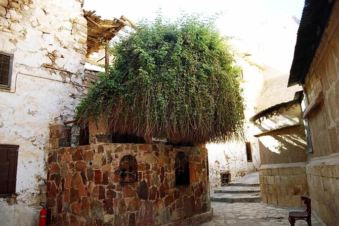 Sunrise at Mt.Sinai and St.Catherine Monastery. Entrance Included - Cancellation and Refund Policy