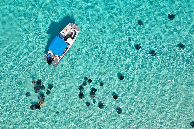 Sunrise at Stingray City, Private Tour - About Your Stay