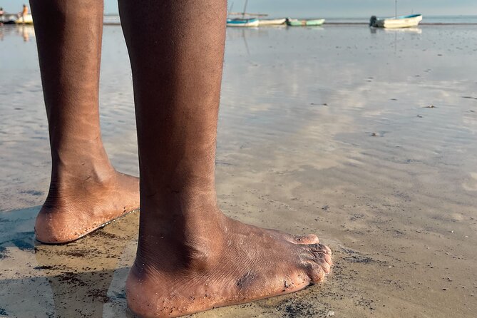 Sunrise Beach Walk With Picnic Breakfast Activity - Pickup and Meeting Point