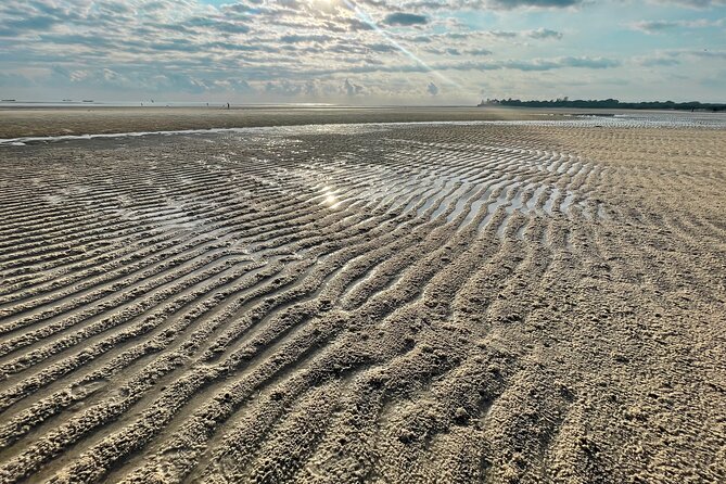 Sunrise Beach Walk With Picnic Breakfast Activity - Booking and Cancellation Policy