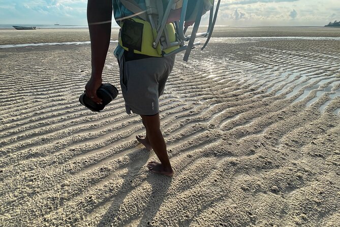 Sunrise Beach Walk With Picnic Breakfast Activity - Reviews and Ratings