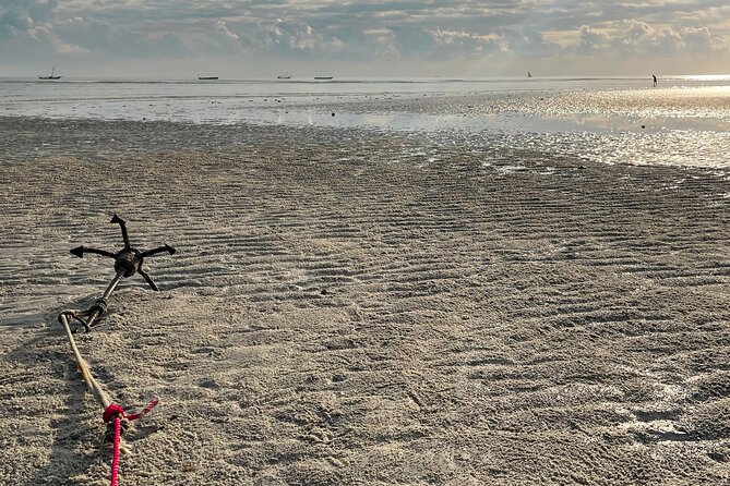Sunrise Beach Walk With Picnic Breakfast Activity - Family-Friendly Experience