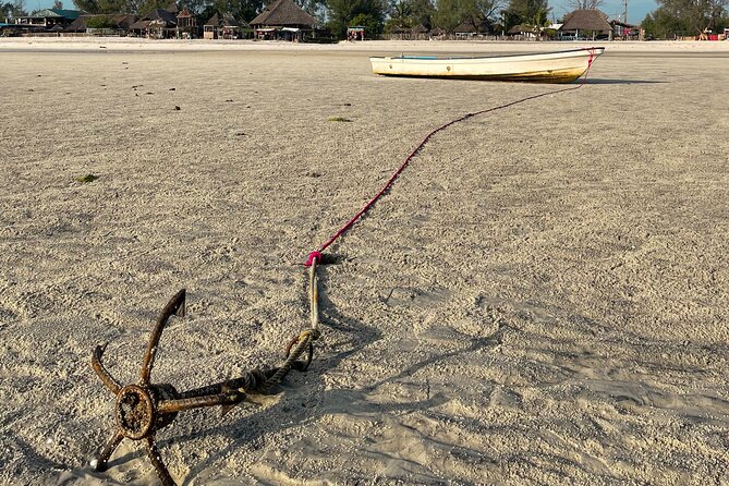 Sunrise Beach Walk With Picnic Breakfast Activity - Accessibility Information