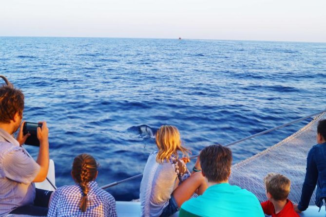 Sunrise Boat Trip in Mallorca With Dolphin-Watching - Chance to Spot Marine Life