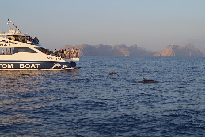 Sunrise Boat Trip in Mallorca With Dolphin-Watching - Breakfast and Refreshment Offerings