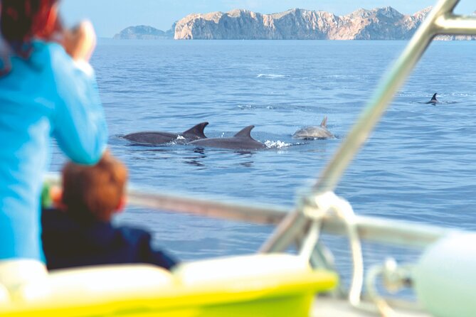 Sunrise Boat Trip in Mallorca With Dolphin-Watching - Meeting Point and Pickup Location