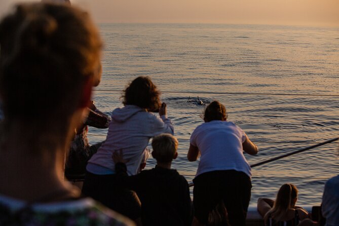 Sunrise Boat Trip in Mallorca With Dolphin-Watching - Itinerary Flexibility and Safety Considerations