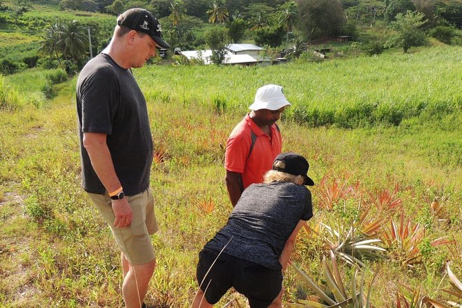 Sunrise Breakfast at Fiji Outback, Then Visit More Places of Your Choice - Inclusions