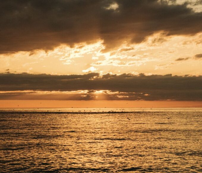 Sunrise Cruise in Barcelona - Small-Group Sailing - Meeting Point and Directions
