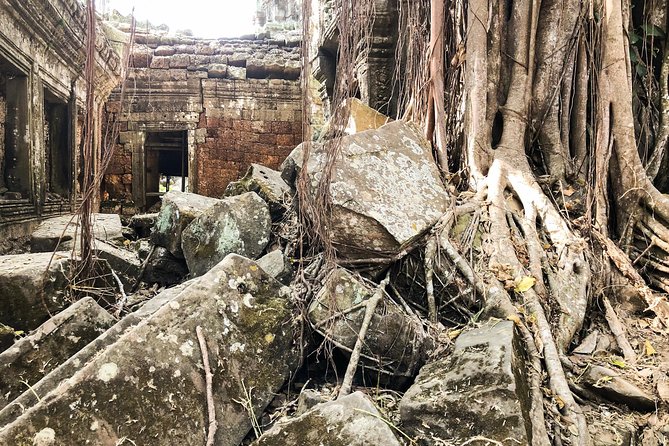 Sunrise Cycling Of Angkor Wat Temple - Pricing and Requirements