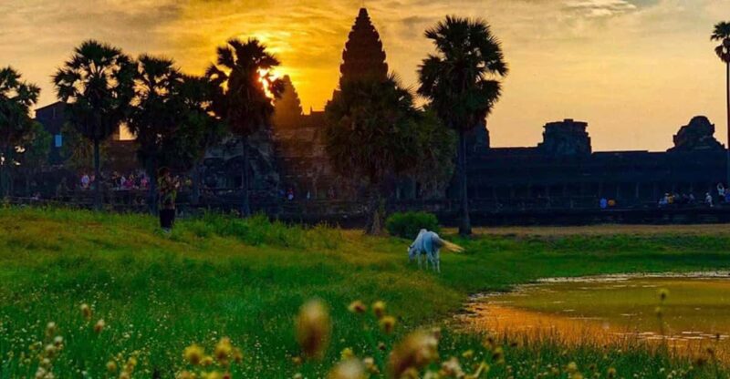 Sunrise Cycling Of Angkor Wat Temple - Tour Experience