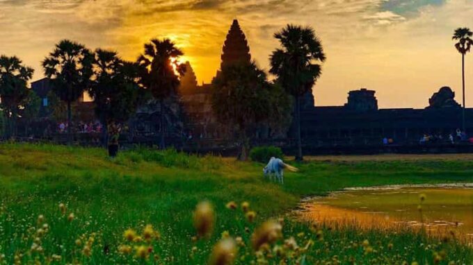 Sunrise Cycling Of Angkor Wat Temple - Pickup Location and Duration