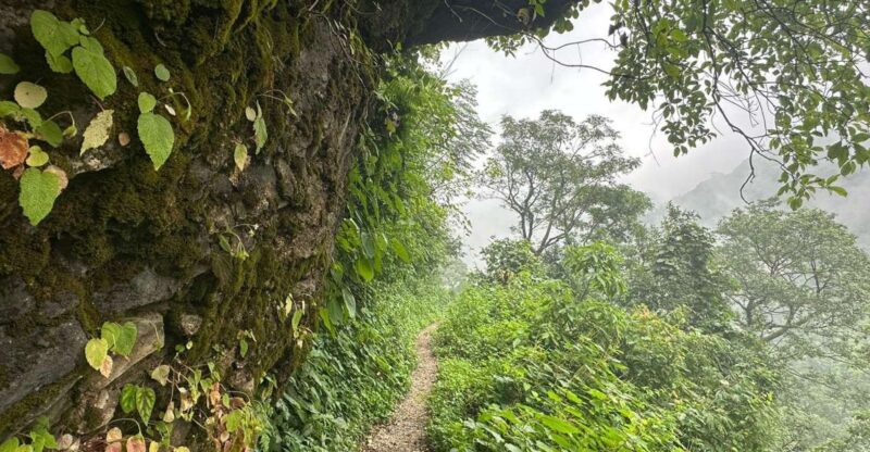 Sunrise Day Hike in Rishikesh - Hike Duration and Cost