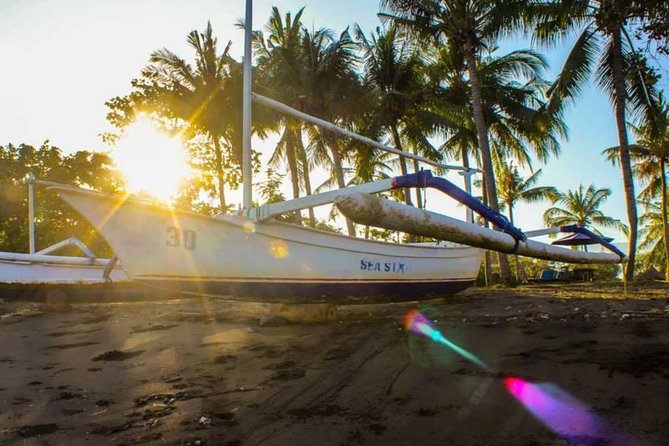 Sunrise Dolphin Wacthing & Menjangan Island Snorkeling Day Trip - Booking and Cancellation Policy