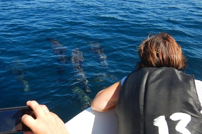 Sunrise Dolphin Watching Experience and Bar Reef Snorkelling – Kalpitiya - Tour Details and Inclusions