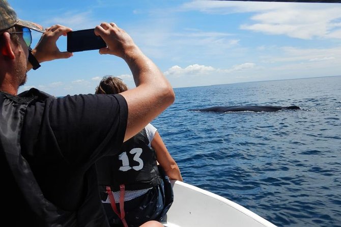 Sunrise Dolphin Watching Experience and Bar Reef Snorkelling – Kalpitiya - Accessibility and Participation