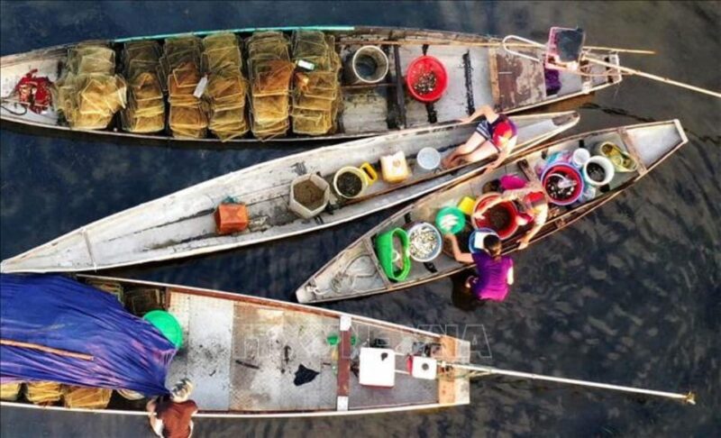 Sunrise Floating Market on Tam Giang Lagoon - Itinerary Highlights