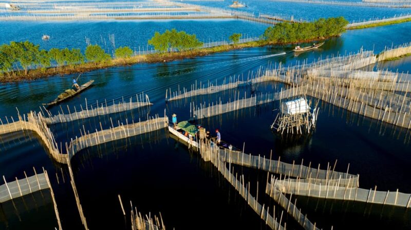 Sunrise Floating Market on Tam Giang Lagoon - Important Information for Participants