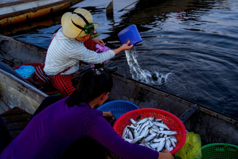 Sunrise Floating Market on Tam Giang Lagoon - Exploring the Ngu My Thanh Floating Market