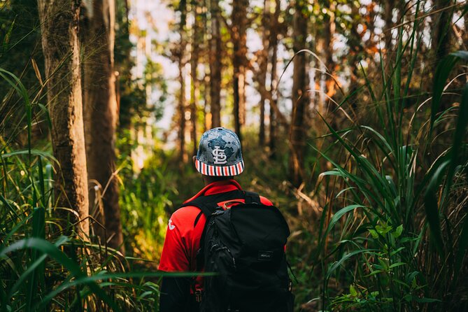 Sunrise Hike to Ella Rock - Highlights of the Hiking Experience