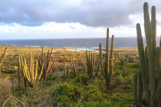 Sunrise Hike With Private Guide to Natural Bridge (North Coast) - Positive Traveler Reviews