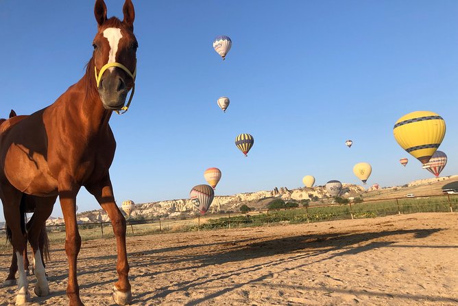 Sunrise Horsebackriding Tour in Cappadocia - Health and Accessibility