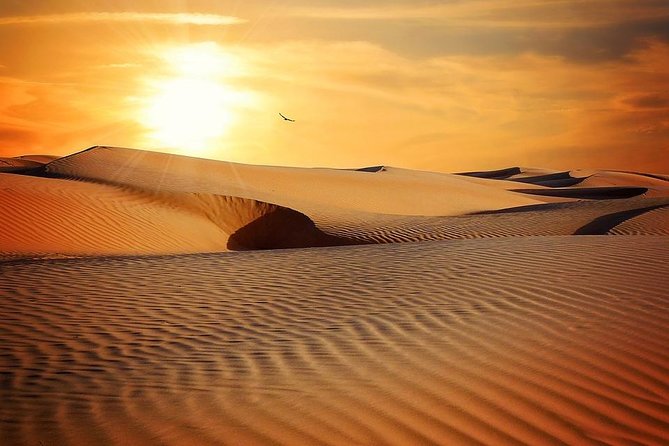 Sunrise in Dubai Desert - Sandboarding Fun