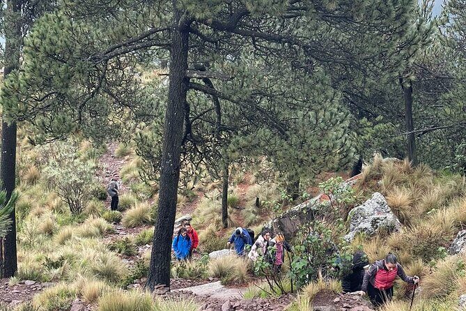 Sunrise in Las Alturas Hiking in El Pico del Aguila Tlalpan - Practical Considerations and Tips
