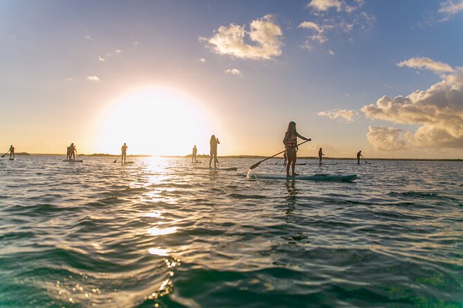 Sunrise in Paddle With Picnic in Front of the Bird Sanctuary - Meeting and Pickup