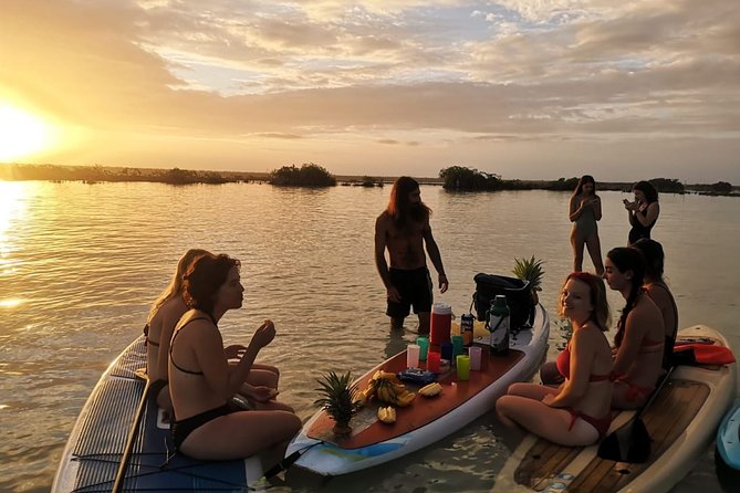 Sunrise in Paddle With Picnic in Front of the Bird Sanctuary - Memorable Moments