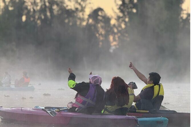 Sunrise Kayak Tour in Xochimilco - Who Will Love This Tour?