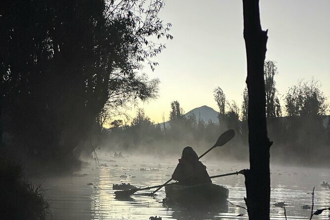 Sunrise Kayak Tour in Xochimilco - FAQ Section