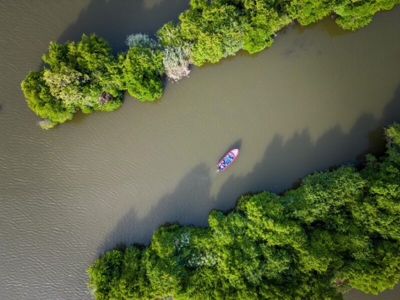Sunrise Kayaking on the Negombo Lagoon - Booking Information