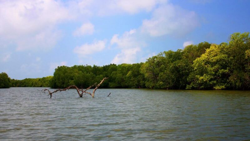Sunrise Kayaking on the Negombo Lagoon - Important Guidelines