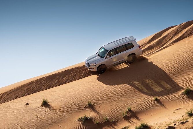 Sunrise/Morning Dune Drive With Camel Trek & Sand Surfing - Transport to the Desert