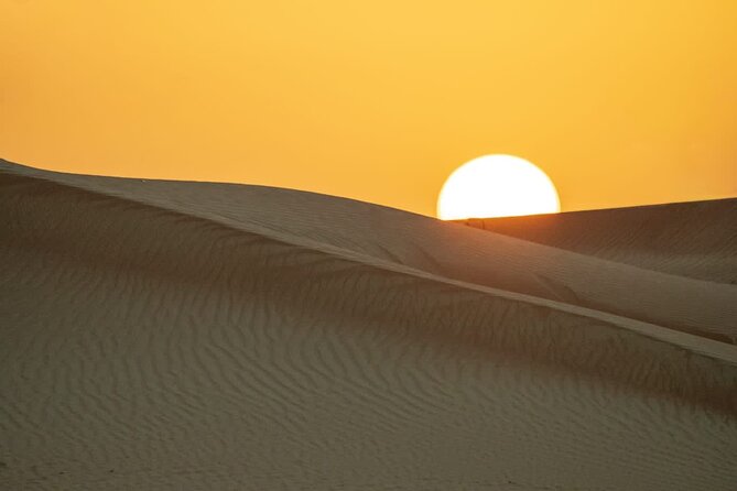 Sunrise/Morning Dune Drive With Camel Trek & Sand Surfing - Camel Trekking