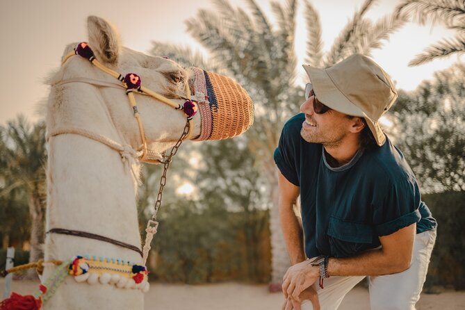 Sunrise/Morning Dune Drive With Camel Trek & Sand Surfing - Sandboarding Fun