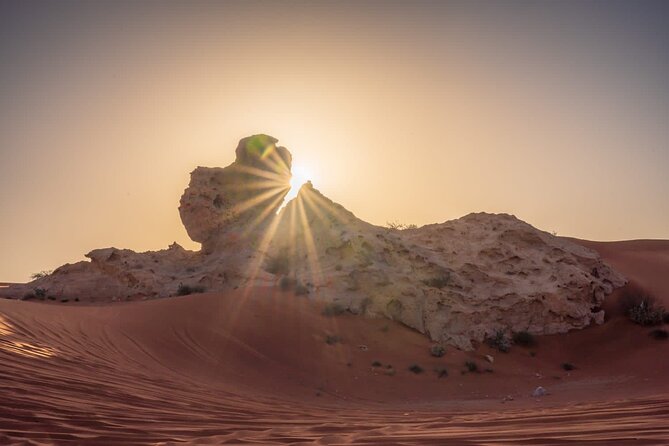 Sunrise/Morning Dune Drive With Camel Trek & Sand Surfing - Booking and Logistics