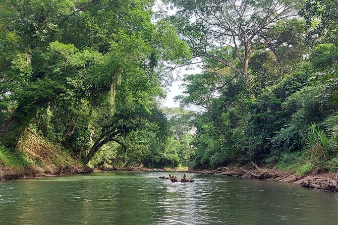 Sunrise Nature River Float Half-Day Tour in La Fortuna - Exploring the River