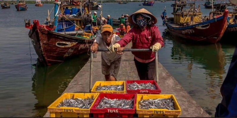 Sunrise on the Hoai River Tour in Hoi An - Additional Information