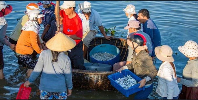 Sunrise on the Hoai River Tour in Hoi An - Since You Asked