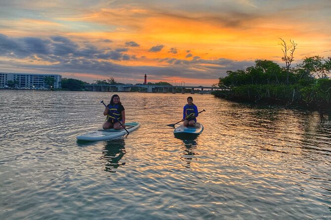 Sunrise Paddle Boarding Adventure in Jupiter - Encounters With Local Wildlife