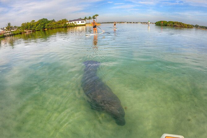 Sunrise Paddle Boarding Adventure in Jupiter - Tour Group Size and Duration