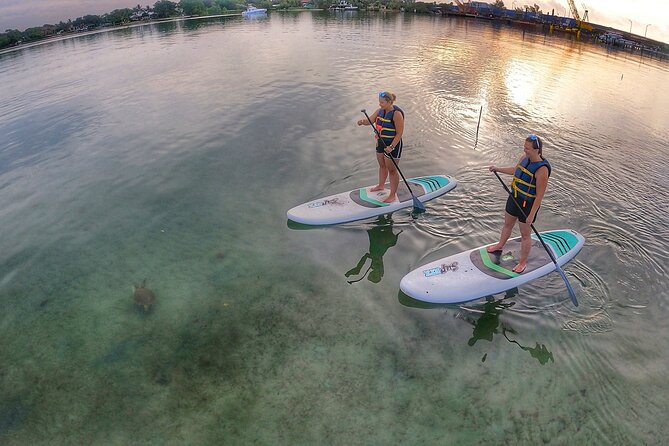 Sunrise Paddle Boarding Adventure in Jupiter - Booking and Confirmation