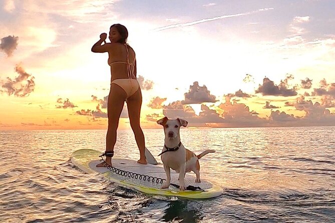 Sunrise Paddle Surf - Activity Details
