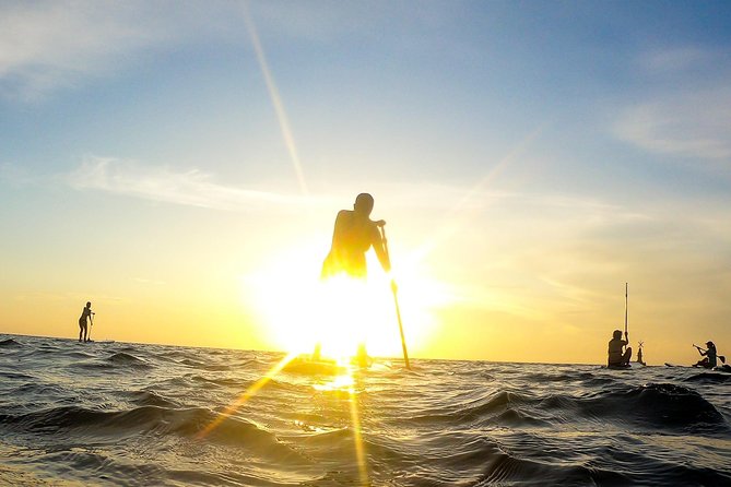 Sunrise Paddleboard Group All Levels Incl. Guide and Instruction - Group Size and Requirements