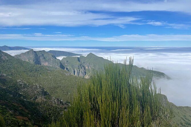 Sunrise: Pico Areeiro Pico Ruivo Hiking Adventure PR1 and PR1.2 - Inclusions and Amenities