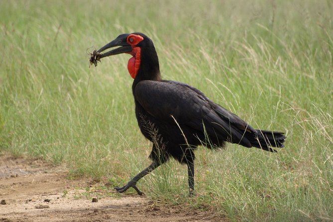 Sunrise Safari - Confirmation and Cancellation