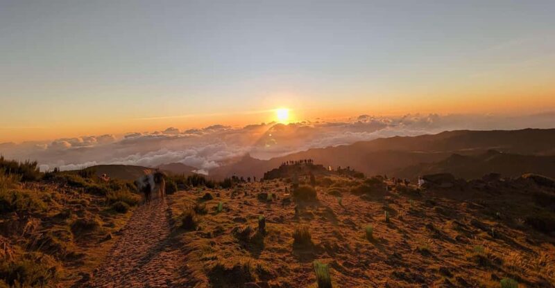 Sunrise + Santo Da Serra Sunday Market Visit - Itinerary Details