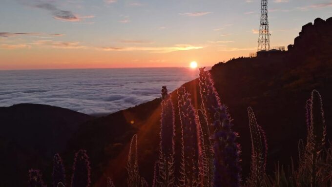 Sunrise + Santo Da Serra Sunday Market Visit - Additional Charges for Pickup